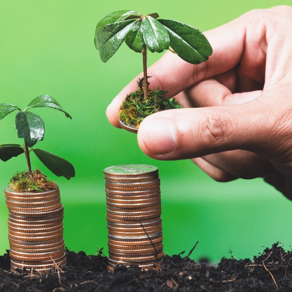 IBV software is a start, but do you have the support required to scale?